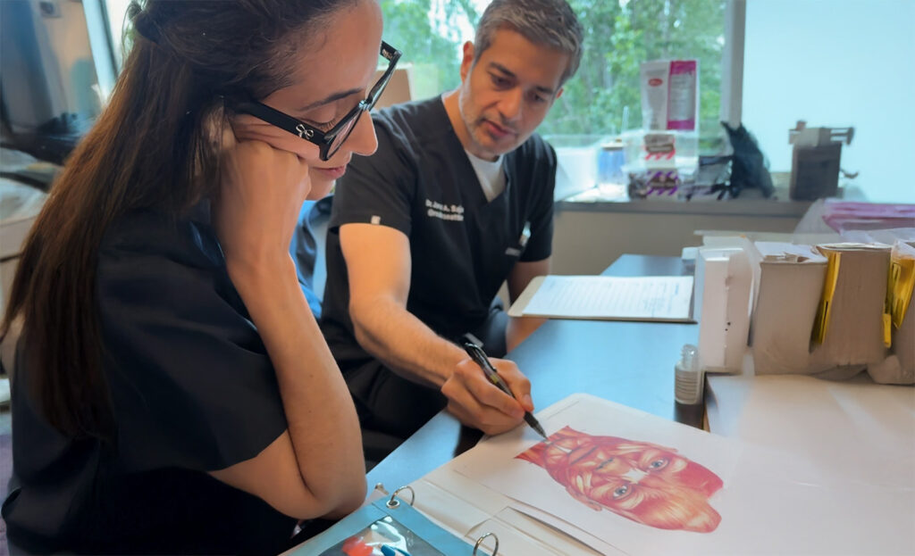 10 Essential Skills for Aspiring Cosmetic Injectors
